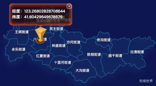 echarts沈阳市苏家屯区geoJson地图根据经纬度显示自定义html弹窗